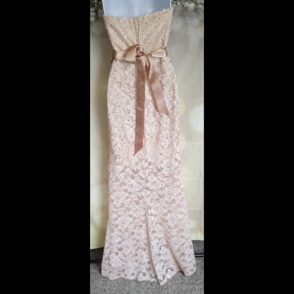Vintage rose gold lace dress - Picture 7 of 9
